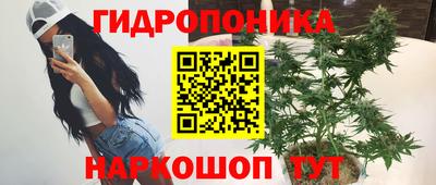 амф Можга