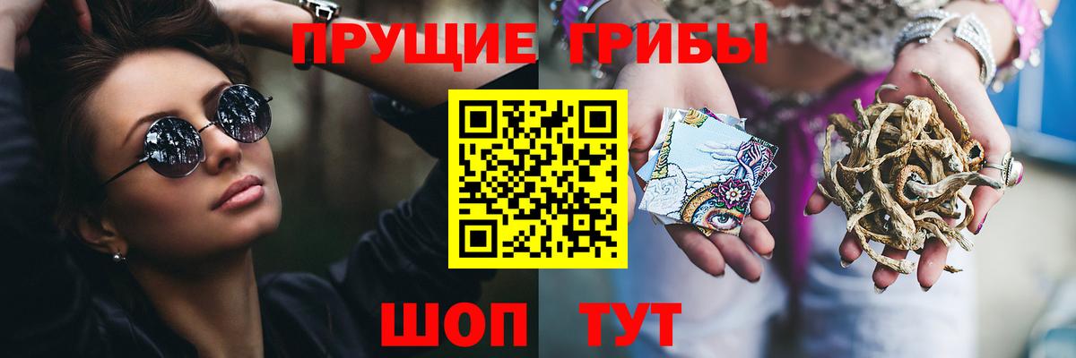 Псилоцибиновые грибы Psilocybine cubensis  Вход с VPN  Галлюциногенные грибы Psilocybe  Тосно 