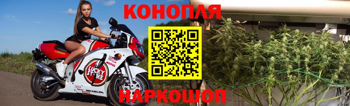 Бошки Шишки OG Kush Тосно